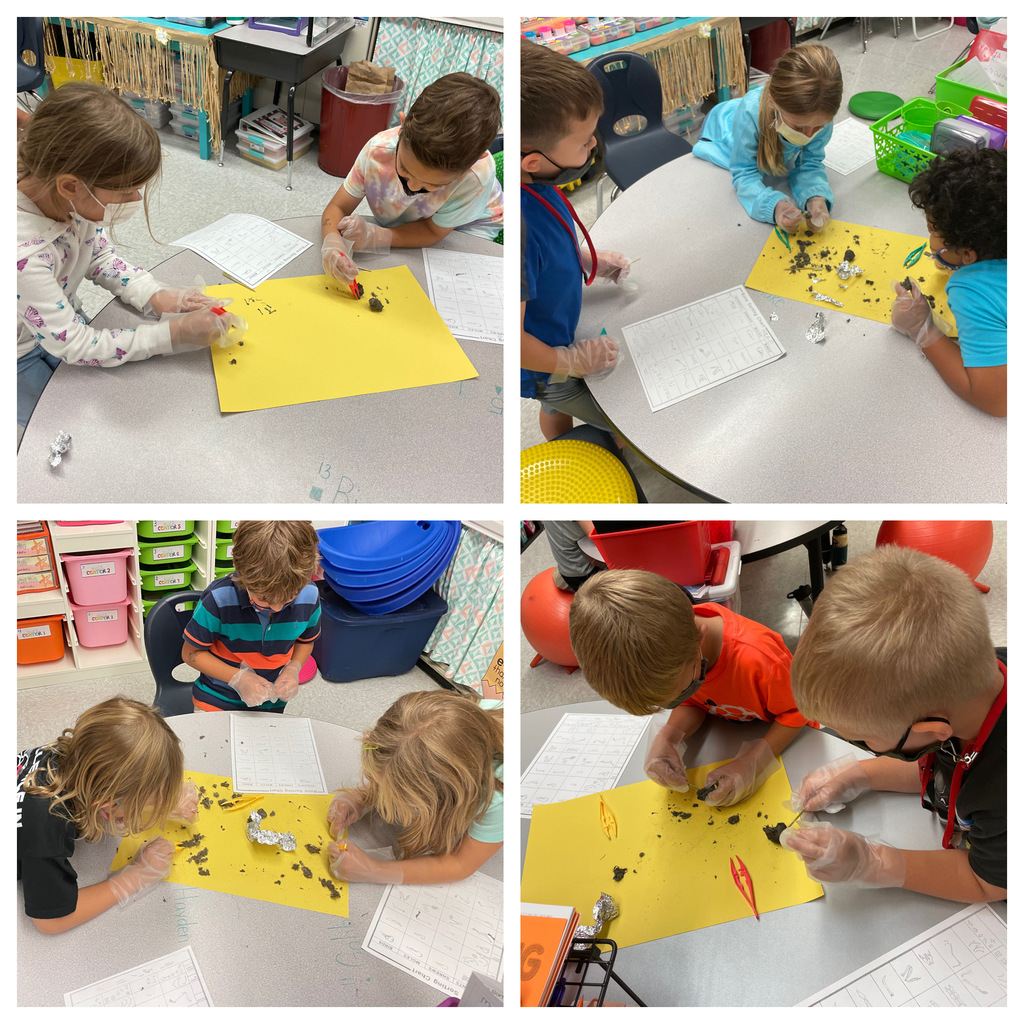 Mrs. King's class wrapped up their owl unit with an owl pellet dissection. The students had to sort out the different bones in the owl pellet and try to decide what animal their owl had eaten. 