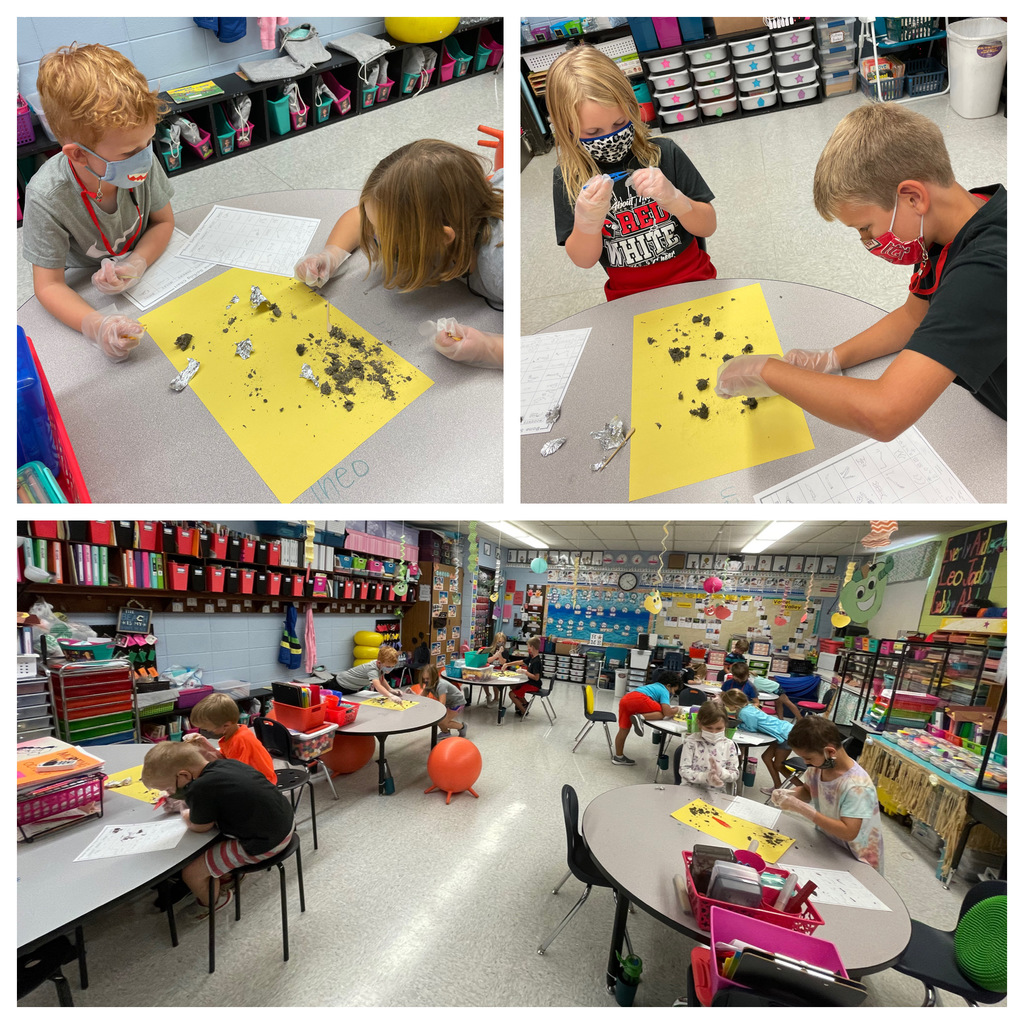 Mrs. King's class wrapped up their owl unit with an owl pellet dissection. The students had to sort out the different bones in the owl pellet and try to decide what animal their owl had eaten. 